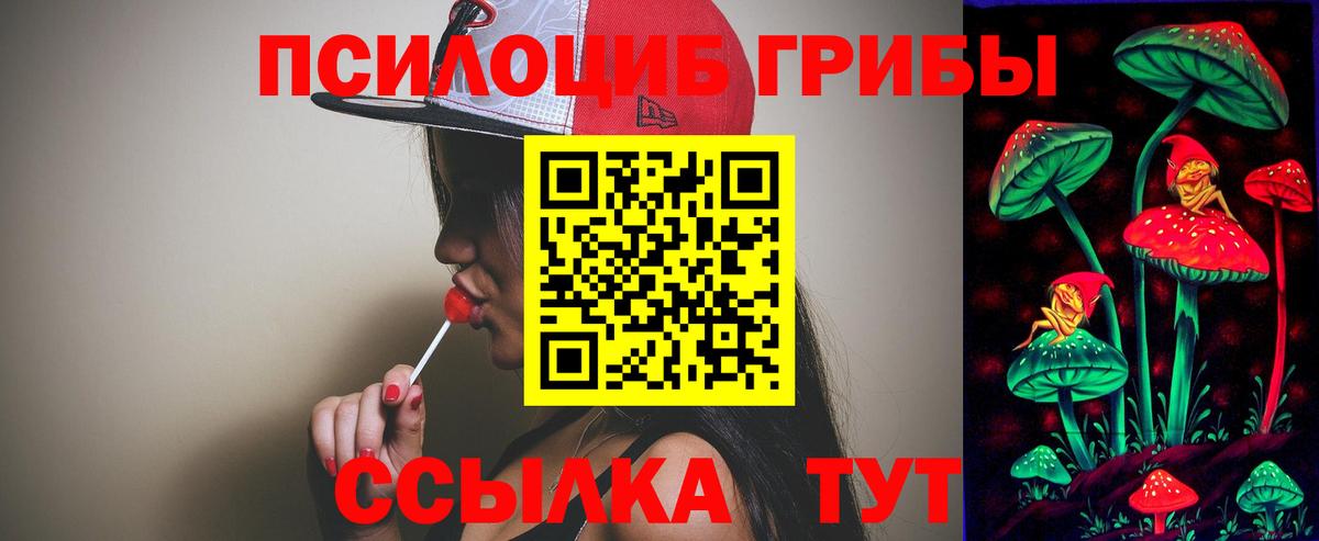 где купить наркотик  Галлюциногенные грибы MAGIC MUSHROOMS  Псилоцибиновые грибы MAGIC MUSHROOMS  Вход с VPN  Коломна 